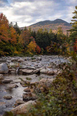 rocky stream through autumn mountain forest