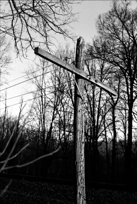 weathered utility pole with crossbeam against bare trees