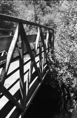 wooden bridge railing through forest path