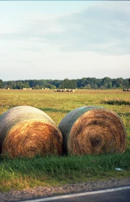 hay bales beside country road at sunset