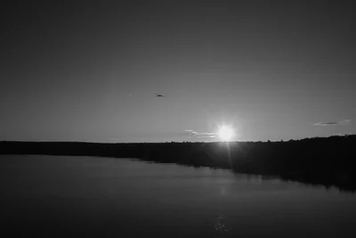 sunset over calm lake with bird silhouette