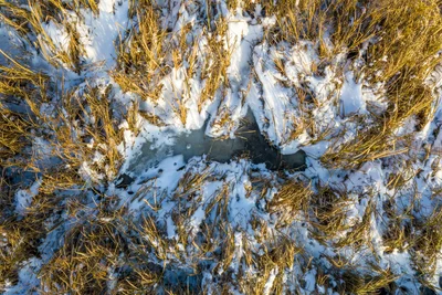 frozen puddle among winter grass and snow