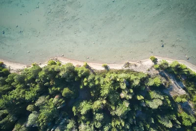 aerial view of shoreline with trees and water