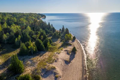 forested coastline with sandy beach at sunset