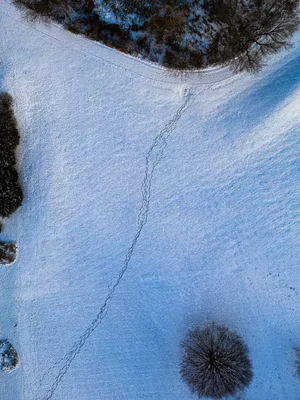 aerial view of footprints crossing snowy landscape