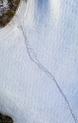 aerial view of footprints crossing snowy landscape