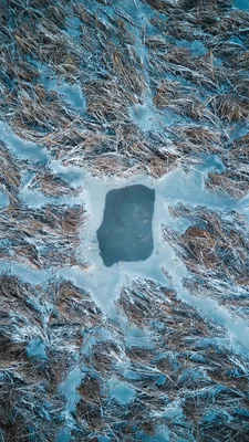 frozen pond with grass and ice patterns