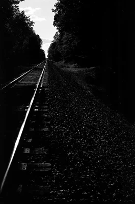 railroad tracks disappearing into wooded corridor