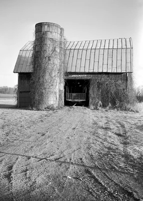 abandoned barn with silo overgrown with vines
