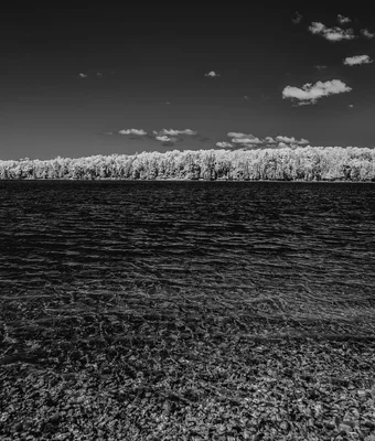 lake shore with forest under dark sky