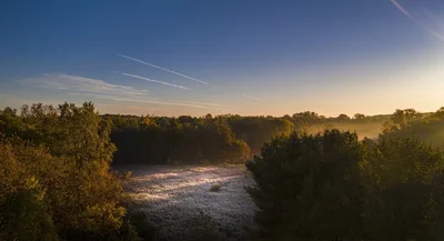 misty river valley at sunrise with trees