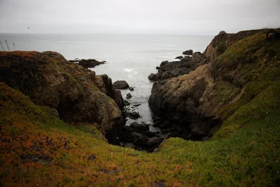 rocky coastal inlet with vegetation covered cliffs