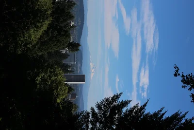 lakeside view with trees and distant mountains