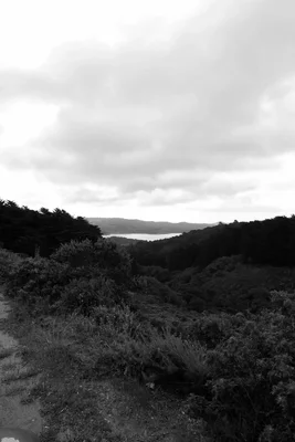 hillside view overlooking distant water and mountains