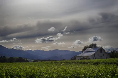 farmhouse near vineyard under dramatic storm clouds