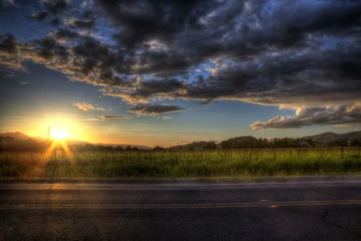 sunset over vineyard rows beside country road