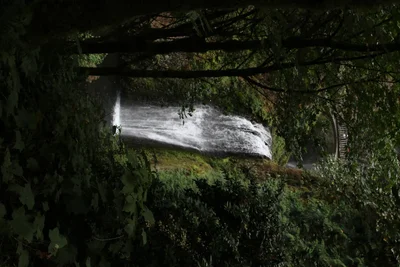 waterfall viewed through dense forest canopy