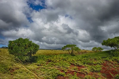 rural farmland under dramatic cloudy sky