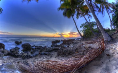 tropical beach sunset with palm trees and rocks