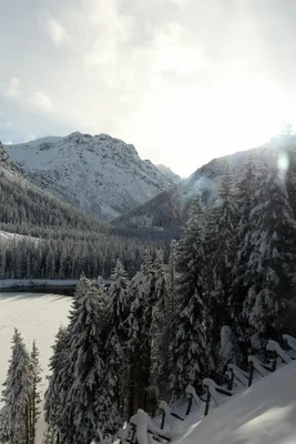snow covered mountains with evergreen forest and frozen lake