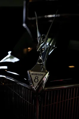 vintage hudson 8 car hood ornament detail