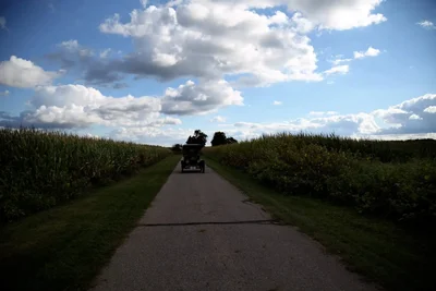 narrow road through corn fields under cloudy sky