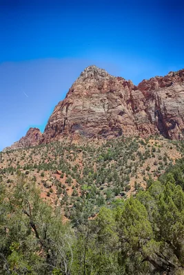 red rock formations with desert vegetation below