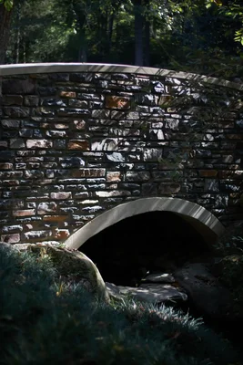 stone bridge arch over shaded woodland stream