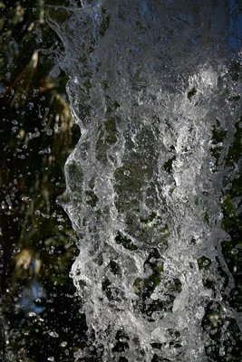 water splash frozen in mid air