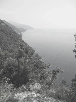 misty coastal cliffs overlooking calm sea