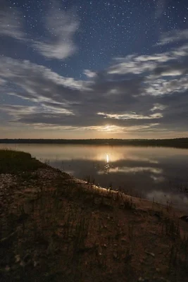 starry night sky over calm lake shoreline