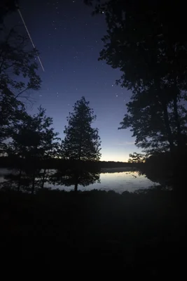 twilight lake view through silhouetted trees with stars