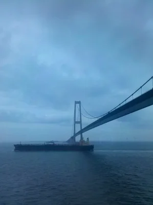 cargo ship passing under suspension bridge in fog