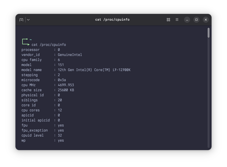 Ghostty terminal with native GTK scrollbar on Linux