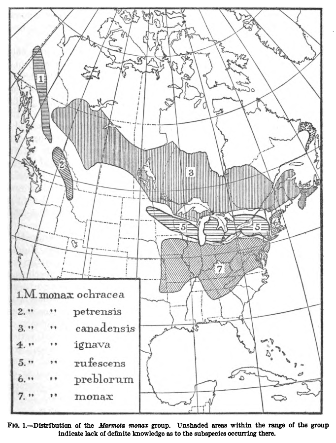Groundhog (Marmota monax) range map showing distribution across North America